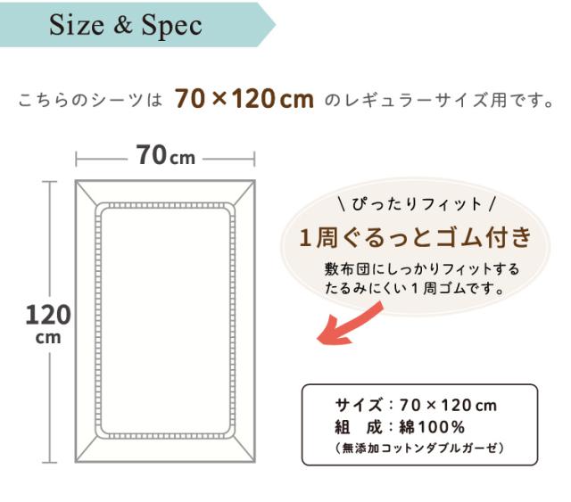 サイズ＆スペック