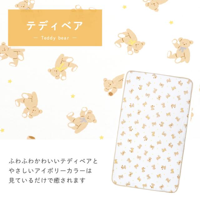 テディベア ホワイト1