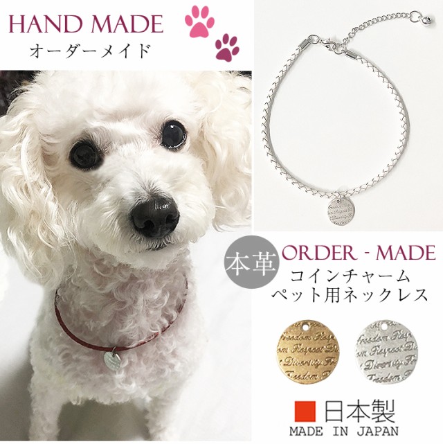 pet00030new-2_01.jpg