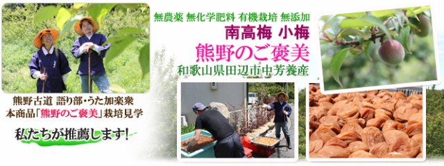  無農薬　有機栽培　梅干し。