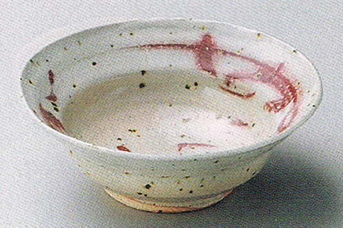 信楽焼 陶器・キッチン 食器 鉢・皿