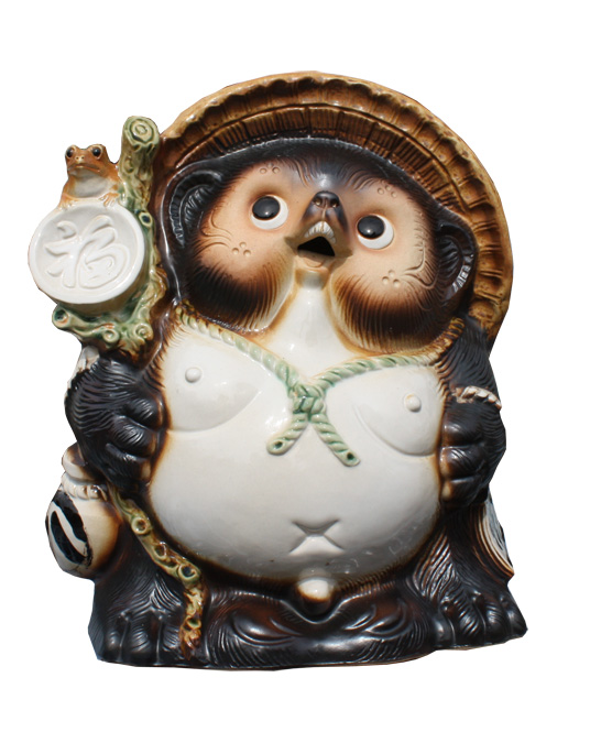 福々狸オス11号