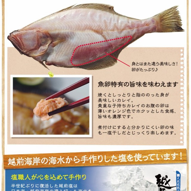 干物 越前産子持ちカレイ 250g 300g 1尾の通販はwowma ワウマ 美味食卓さくだ屋 商品ロットナンバー