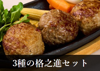 3種のハンバーグセット