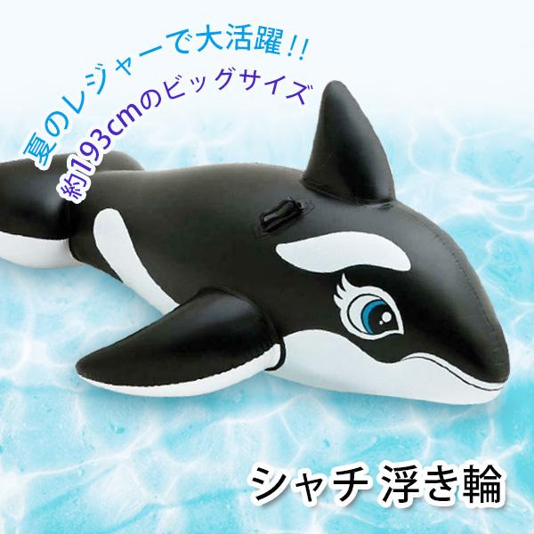 浮き輪 シャチ 取っ手 ハンドル 浮輪 うきわ プール 海 海水浴