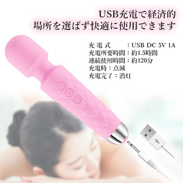 phiten ハンディマッサージャー 未使用 6a425_0001.jpg