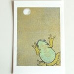 月蛙　ポストカード　『月の夜』