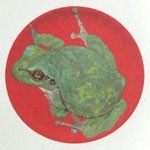 月蛙　ポストカード　『皿蛙』