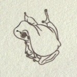 月蛙　ポストカード　『皿蛙』