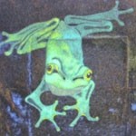 月蛙　ポストカード　『光と影』