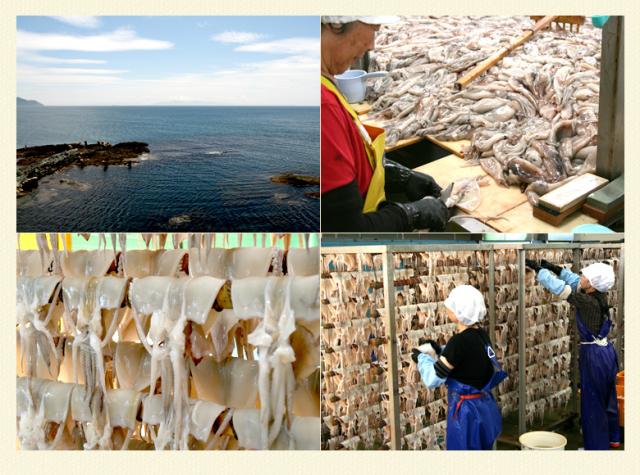 やわらかくて食べやすい!