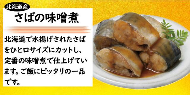 さば味噌