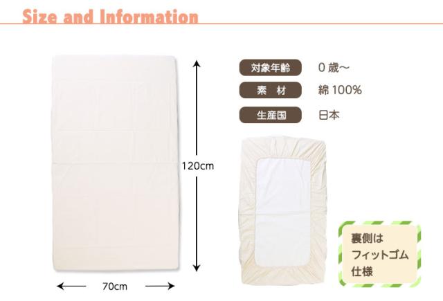 サイズ詳細画像