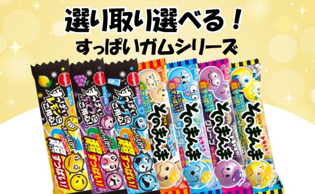 そのまんまガム＆すっぱいガム 各4個 選べる よりどり 駄菓子