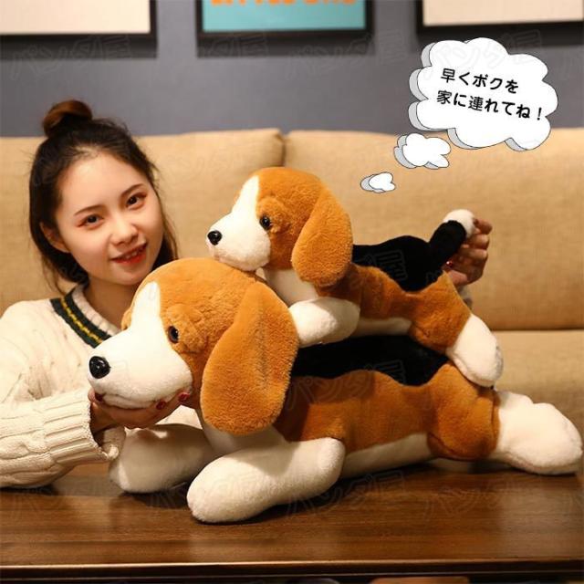 特売 ビーグル犬 ぬいぐるみ イヌ 抱き枕 クッション 柔らか 可愛い 癒し系 動物 添い寝枕 プレゼント おもちゃ お誕生日プレゼント クリスマ 通販限定 Www Iacymperu Org