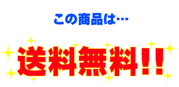 送料無料