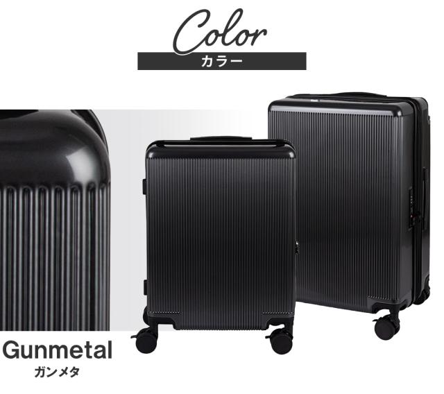 カラー ガンメタ