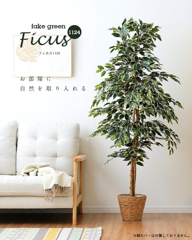絶妙 人工観葉植物 フェイクグリーン Ficuse フィカス 1124 H170cm 2種対応 人工植物 観葉植物 おしゃれ フェイク 造花 大型 グリーン インテ 新着商品 Carlavista Com