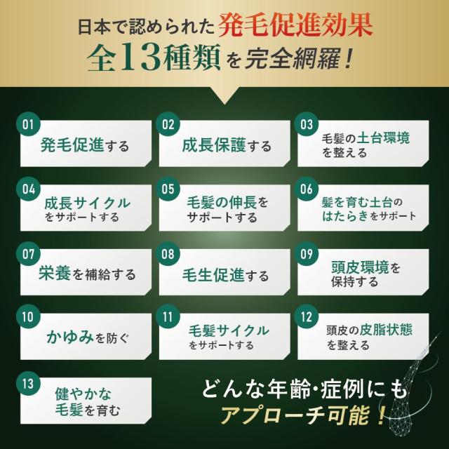 医薬部外品 HOLO BELL ホロベル モアグロースアップ 薬用育毛剤 120ml