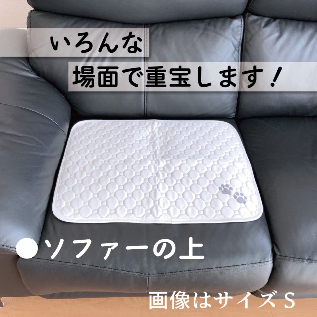 ペットシーツ サイズL 洗える 2枚セット ペットマット おしっこマット 猫 犬 おしっこパッド トイレシート 防水 100×70cmの通販はau  PAY マーケット purple7 au PAY マーケット－通販サイト