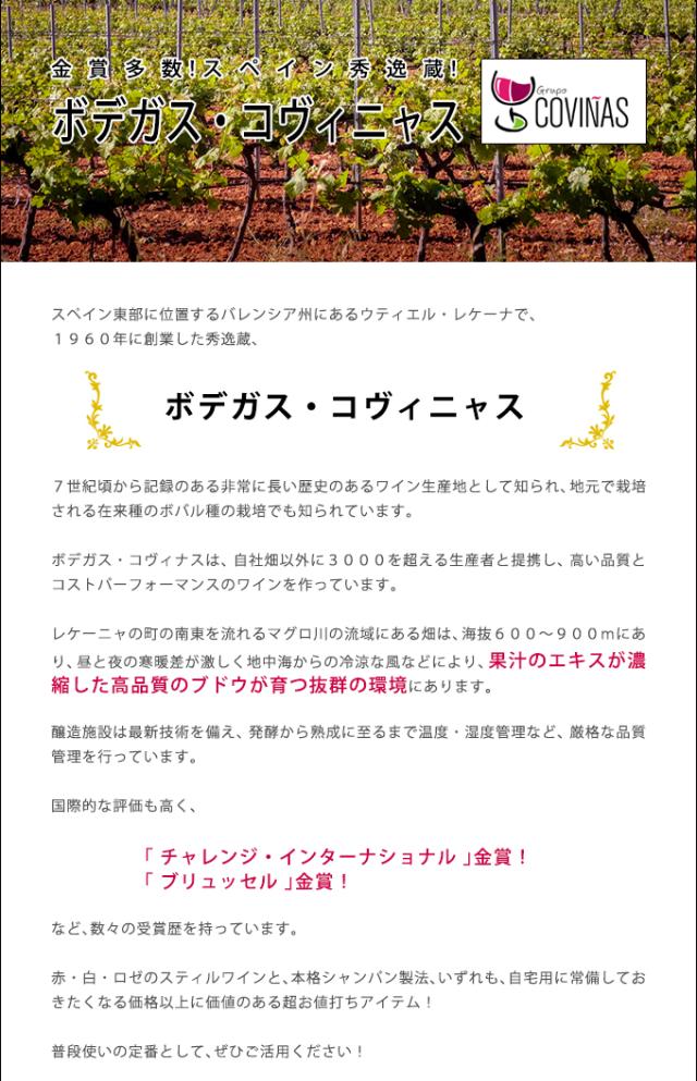 説明