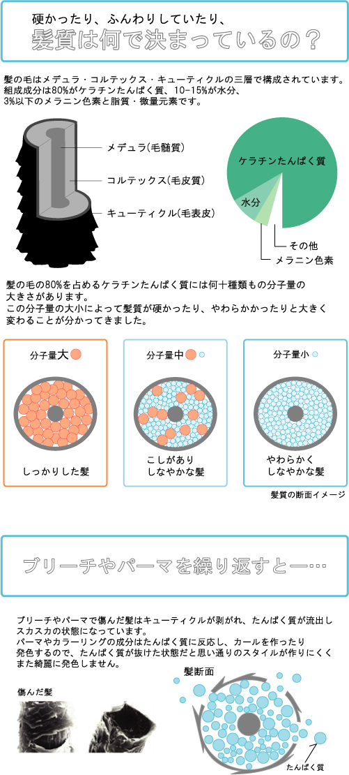 ボリュームダウンシャンプーセット