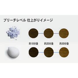ウエラ ブリーチ