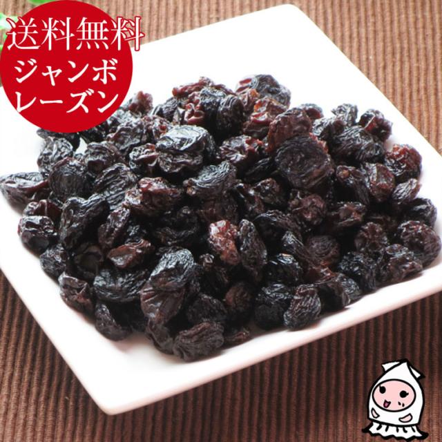 【ゆうパケ送料無料】ジャンボレーズン 珍味