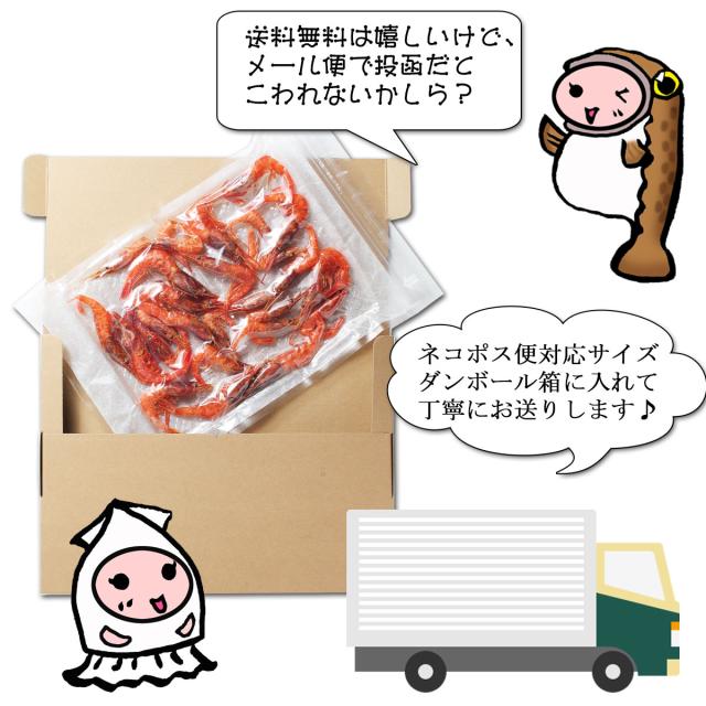 ネコポス用ダンボール