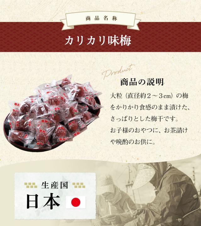 安心の国内製造