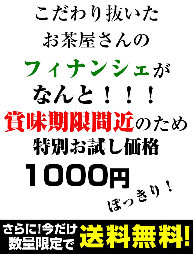 【送料無料】訳あり スイーツ お試し フィナンシェ 6個入り セール ポイント消化 洋菓子 焼き菓子 お取り寄せ おためし