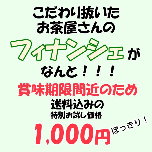 【送料無料】訳あり スイーツ お試し フィナンシェ 6個入り セール ポイント消化 洋菓子 焼き菓子 お取り寄せ おためし