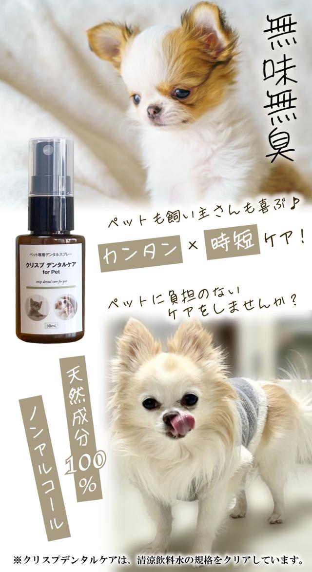 クリスプデンタルケア デンタルケア