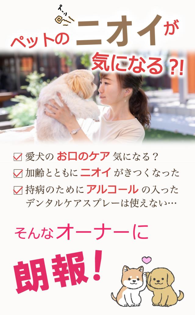 クリスプデンタルケア デンタルケア