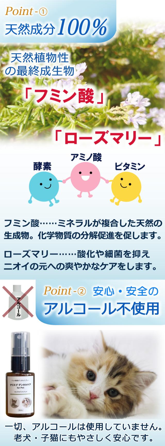 クリスプデンタルケア デンタルケア