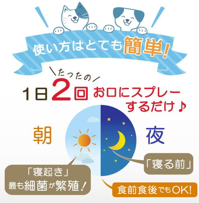 クリスプデンタルケア デンタルケア