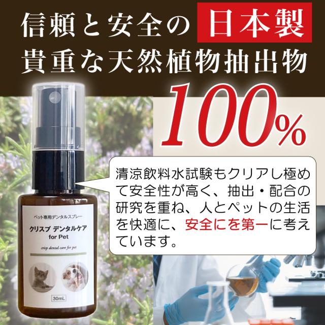 クリスプデンタルケア デンタルケア