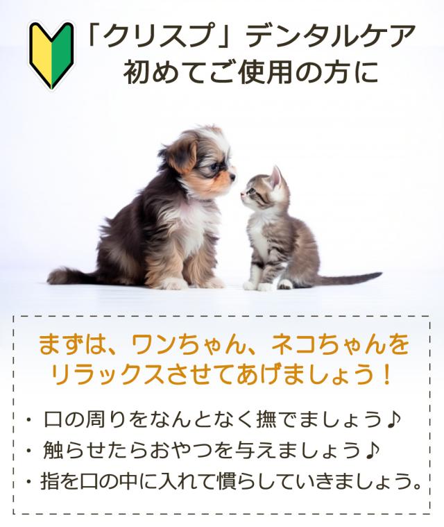 クリスプデンタルケア デンタルケア