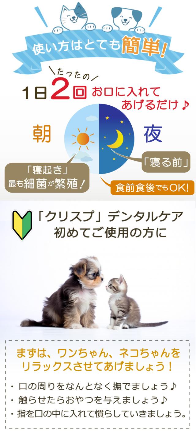 クリスプデンタルケア デンタルケア