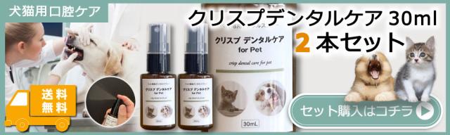 クリスデンタルケア2本セット
