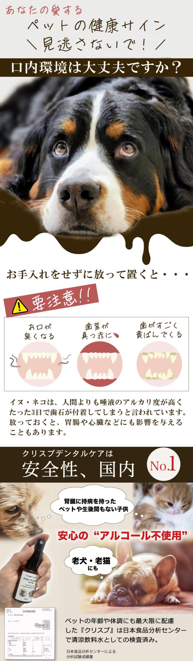 クリスプデンタルケア デンタルケア