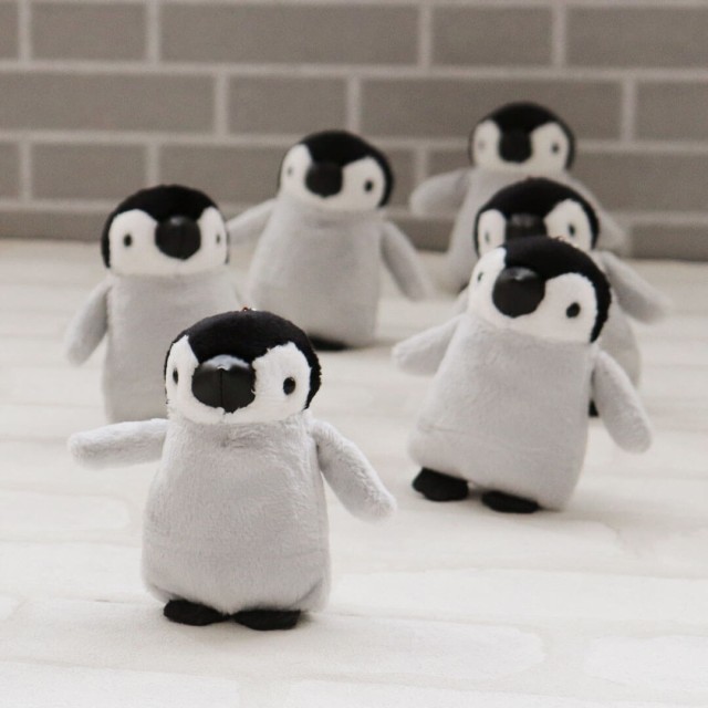 ペンギン4S エンペラーペンギン ベビーペンギン 赤ちゃんペンギン