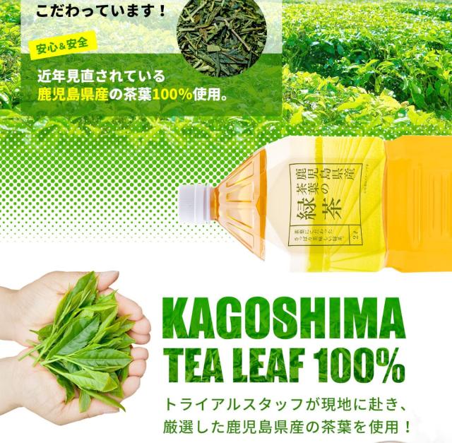 トライアル緑茶2l