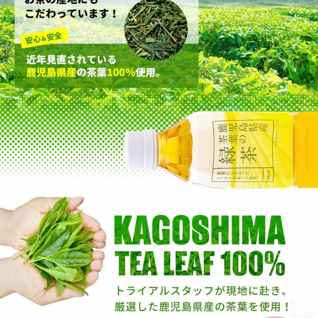 トライアル緑茶500l