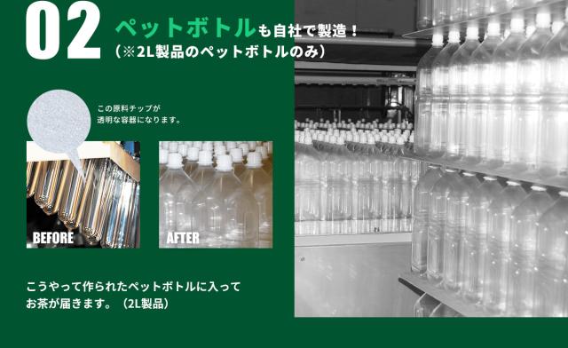 トライアル濃い緑茶500ml