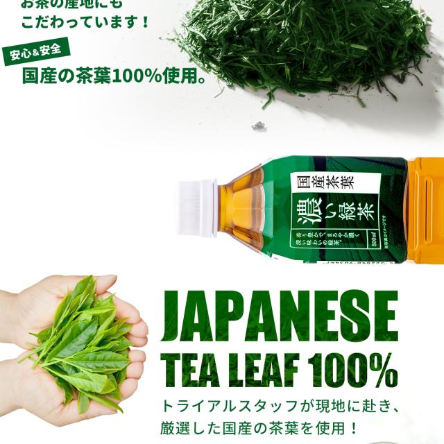 トライアル濃い緑茶500ml