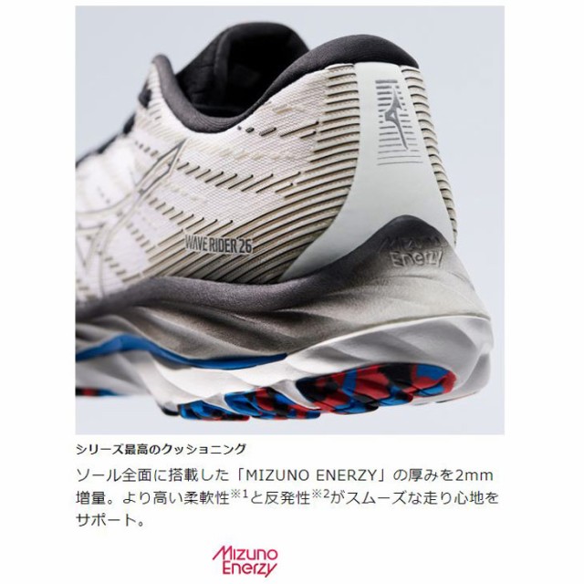 ランニングシューズ ジョギングシューズ メンズ 2E相当 ミズノ mizuno