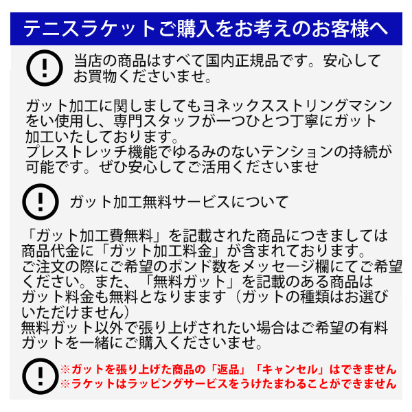 YONEX テニスラケット 硬式テニス ヨネックス YONEX Eゾーン 100SL