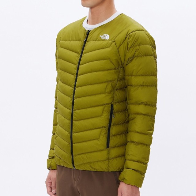 ノースフェイス ジャケット 中わた ダウン メンズ THE NORTH FACE