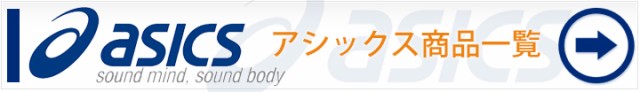 フィットネス用品 グッズ SAKURAI PRO-WING プロウイング キックミット